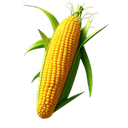 견과류 및 씨앗