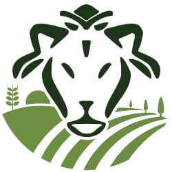 Deko Integrated And Agro Processing