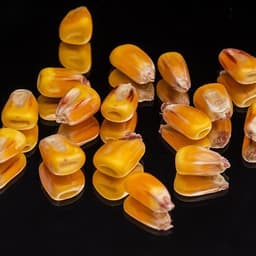 사진 분석 요청