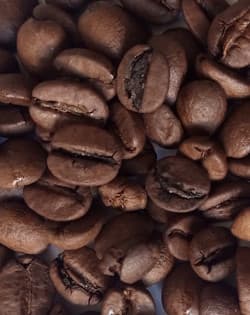 Caffè Arabica Brasiliano Premium | Sostenibile ed Etico