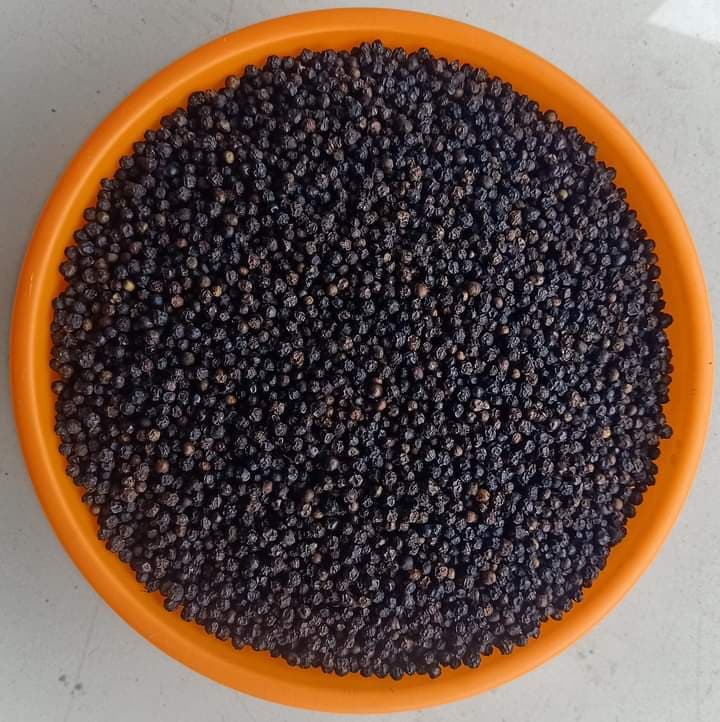 Pieprz czarny. Pochodzenie: Indie (źródło: Adalidda / Domena publiczna)