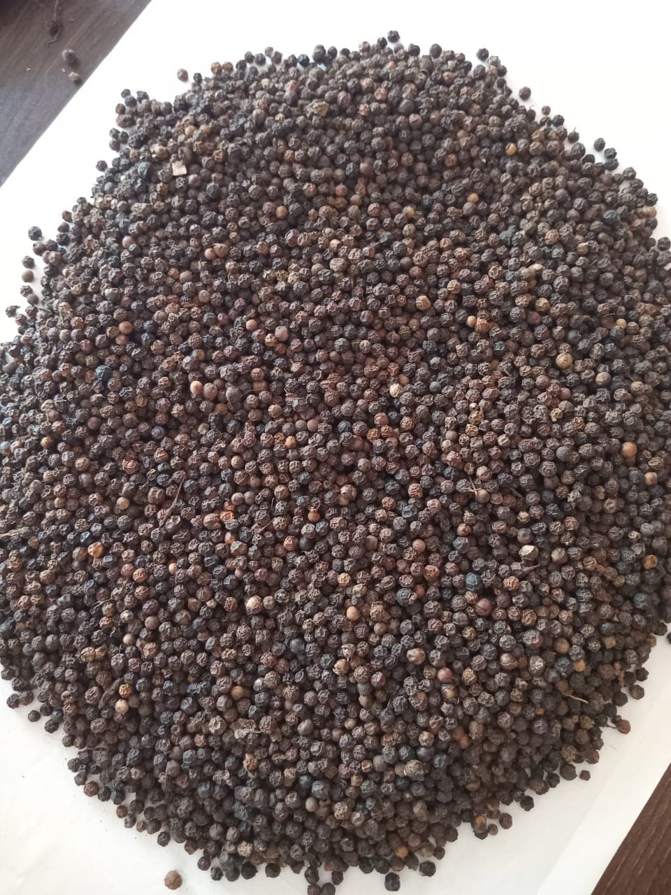 Pieprz czarny. Pochodzenie: Indie (źródło: Adalidda / Domena publiczna)