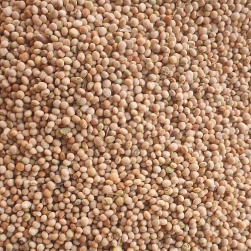 Adalidda 프리미엄 피전피 곡물의 품질과 다양성