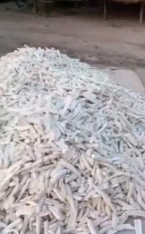 껍질을 벗긴 카사바 칩 (Deko Group / 퍼블릭 도메인)