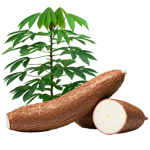 Autres produits agricoles